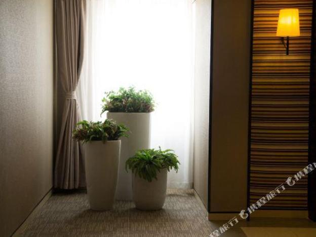 home inn plus hefei south high speed railway station