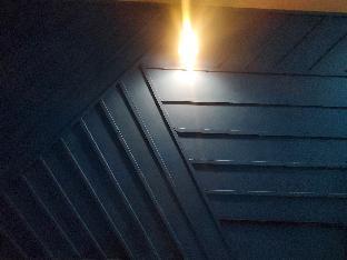 star regency hotel apartment