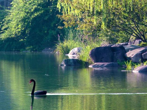 jinji lake grand hotel