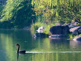 jinji lake grand hotel