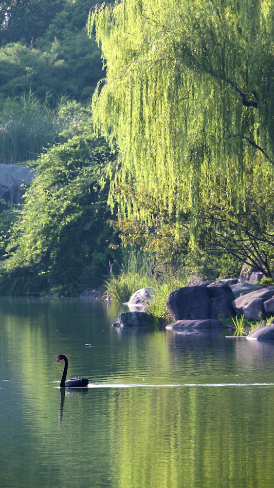 jinji lake grand hotel