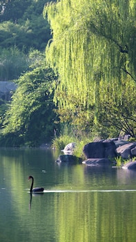 jinji lake grand hotel
