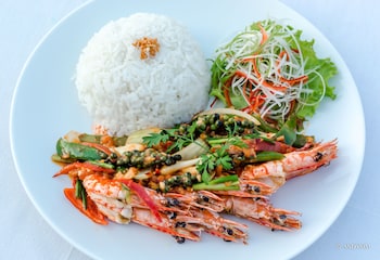 samanea beach resort and spa
