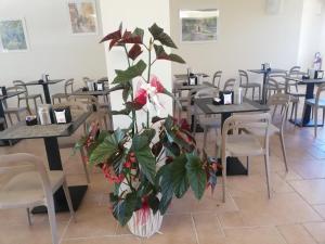 villa nadar hotel bandb