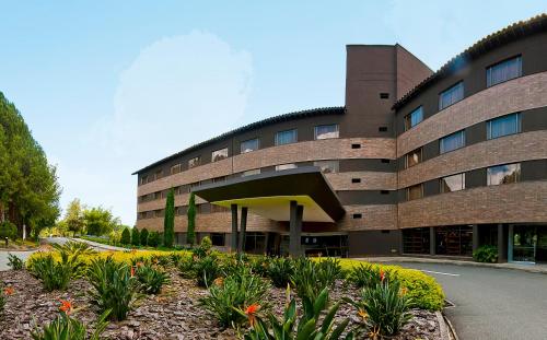 hotel las lomas