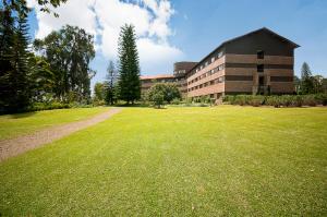 hotel las lomas