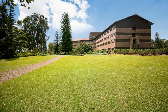 hotel las lomas