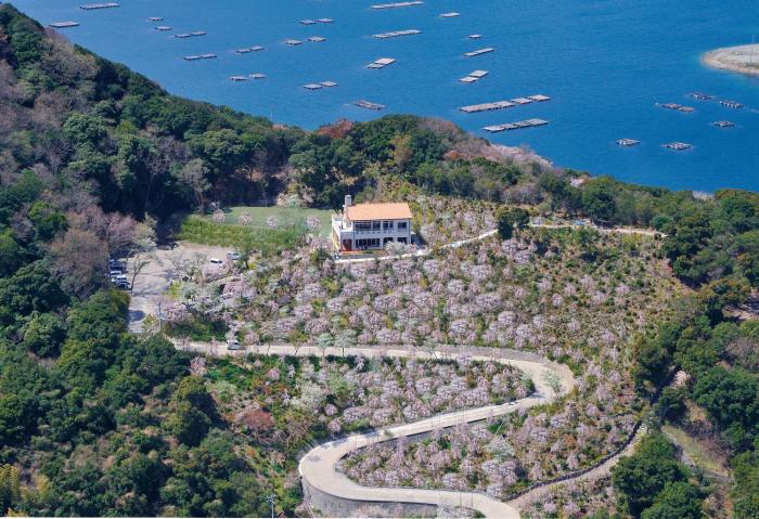 aoawo naruto resort