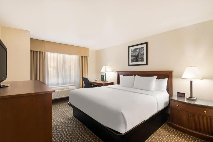 quality inn and suites steamboat springs