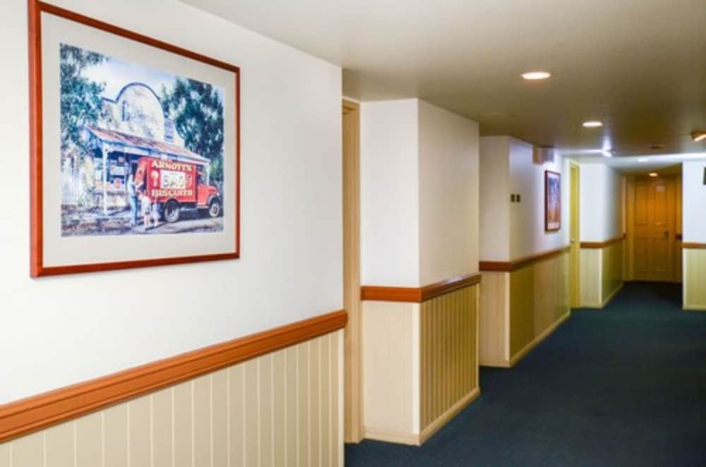 pegasus motor inn and serviced apartments