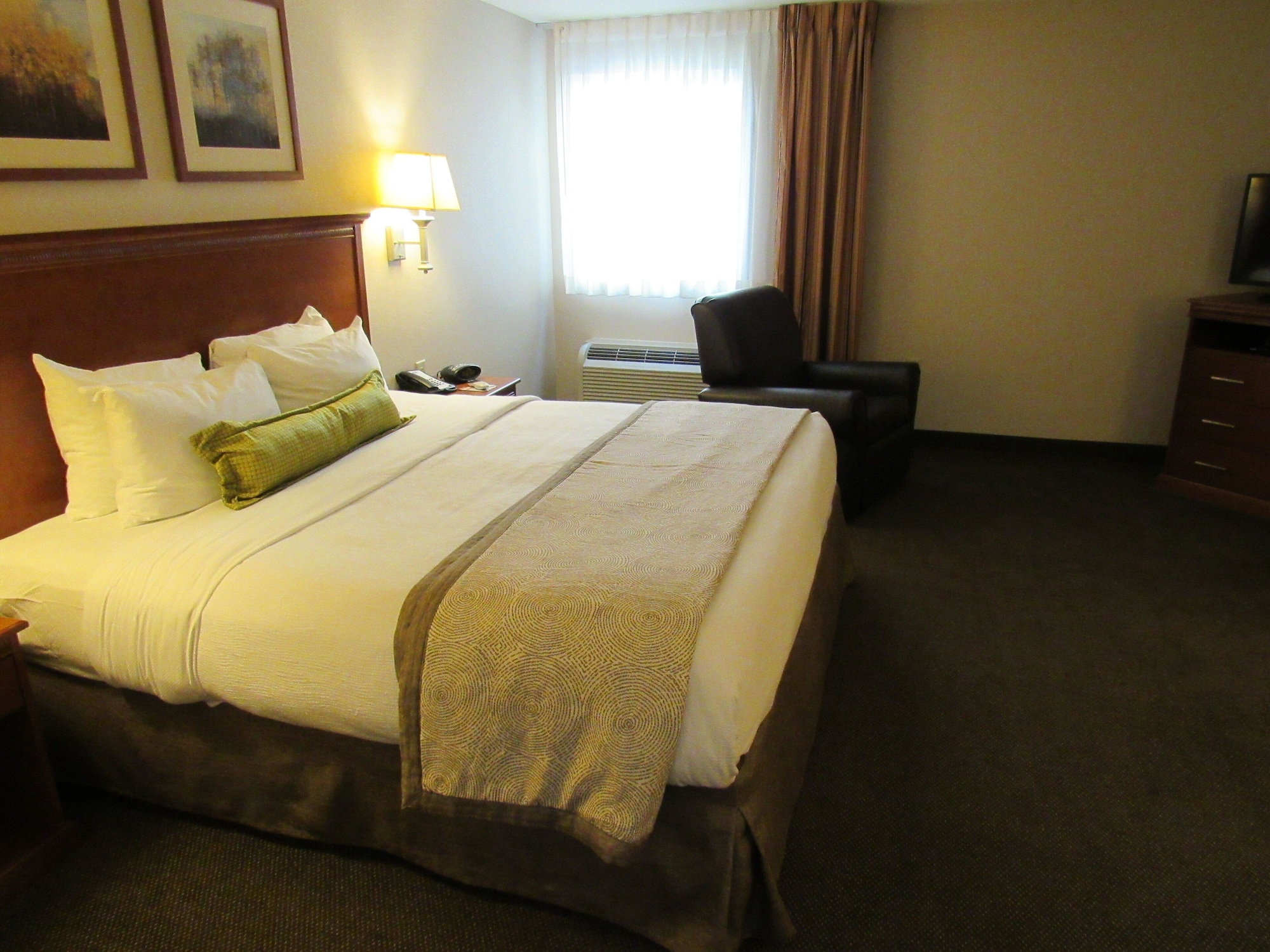 candlewood suites murfreesboro by ihg