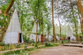 reddoorz apache camp