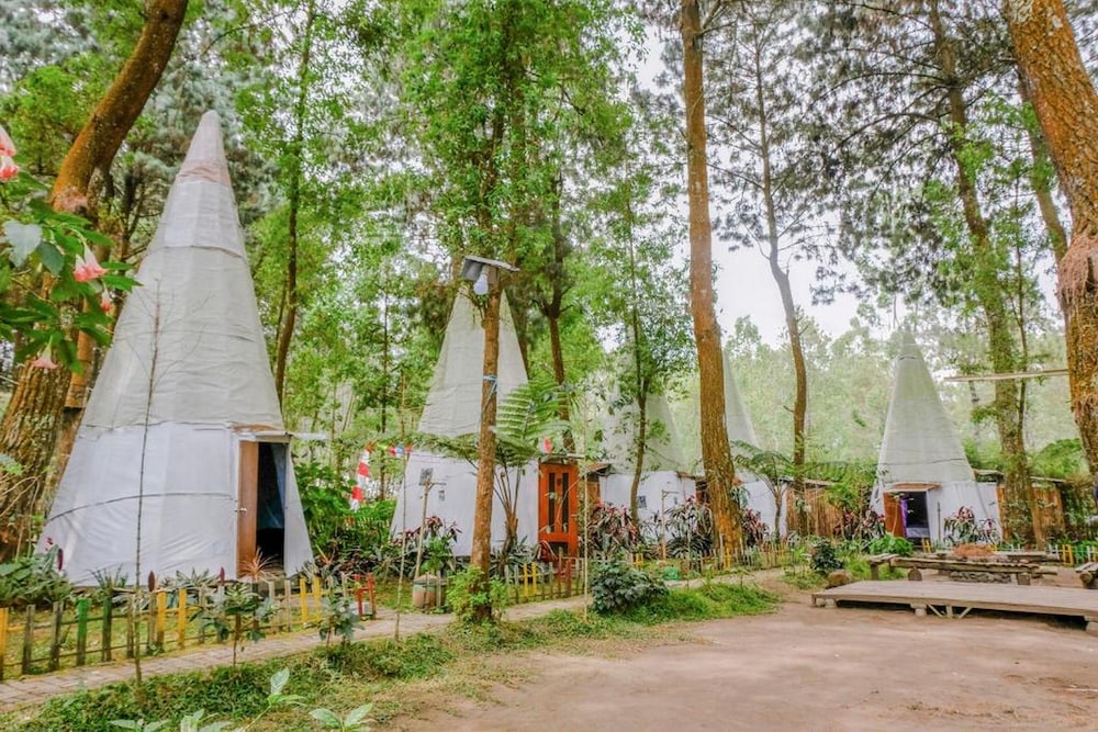 reddoorz apache camp