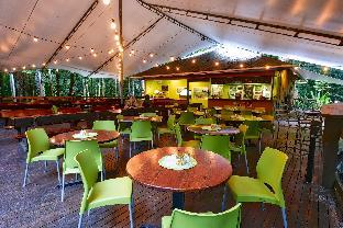 cape tribulation beach house