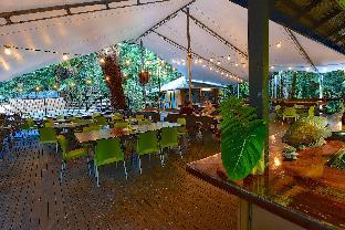 cape tribulation beach house