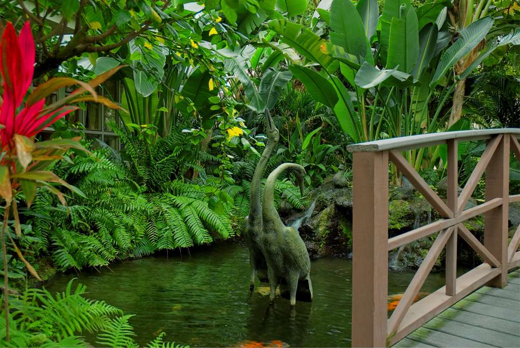 best western naples inn and suites