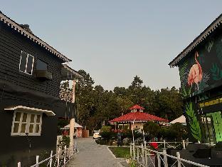 kadambini jungle resort