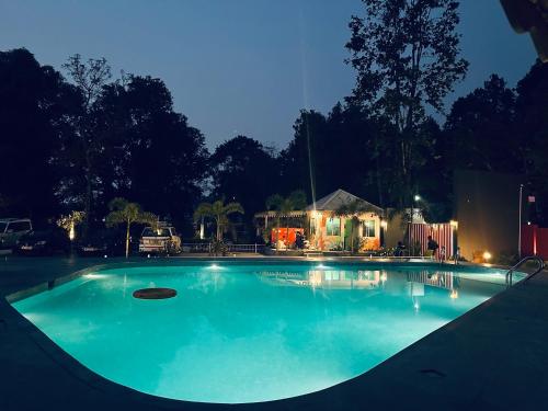 kadambini jungle resort