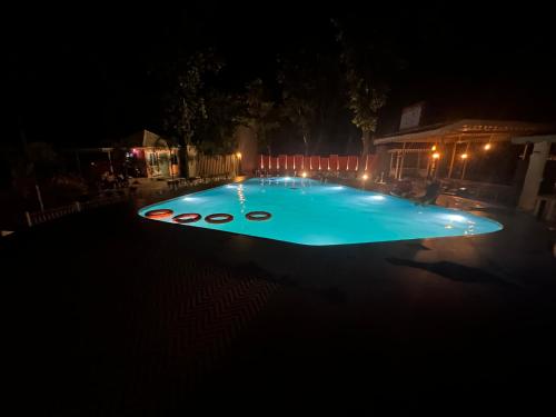 kadambini jungle resort