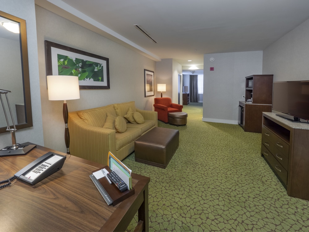 hilton garden inn buffalo downtown