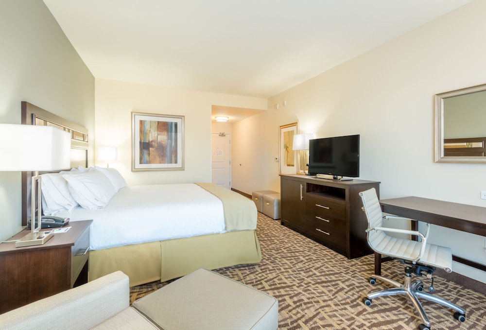 holiday inn express and suites denver south castle