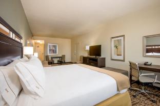 holiday inn express and suites denver south castle