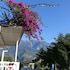 kinabalu pine resorts