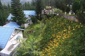 kinabalu pine resorts