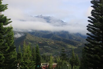 kinabalu pine resorts