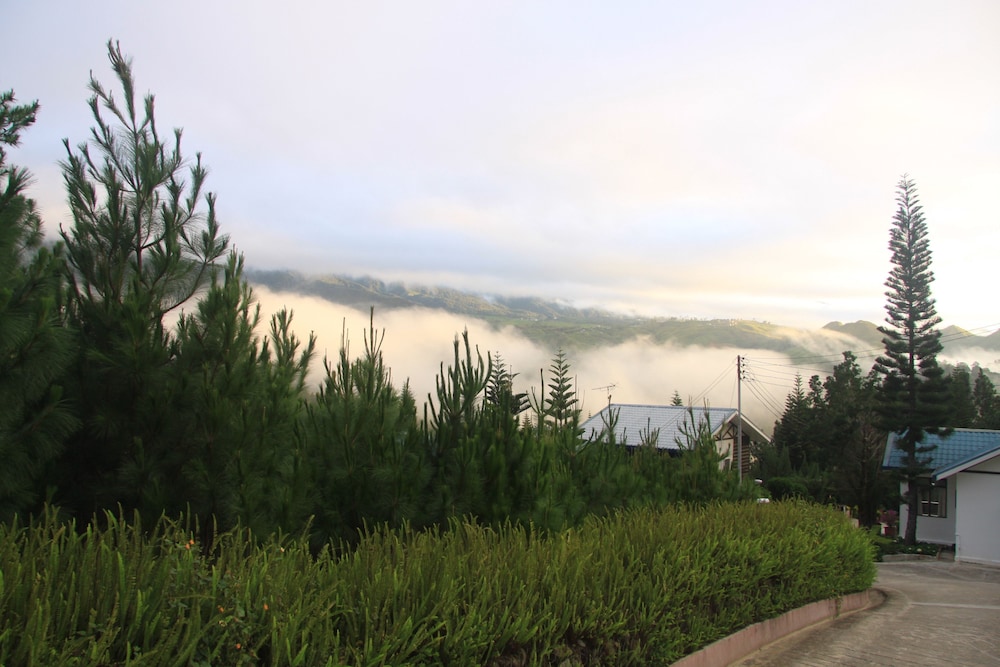 kinabalu pine resorts