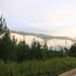 kinabalu pine resorts