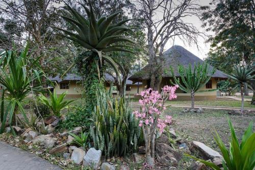 montebelo gorongosa lodge and safari