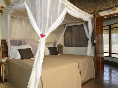 montebelo gorongosa lodge and safari
