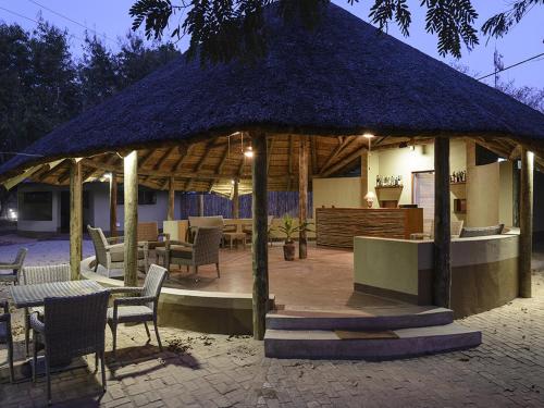 montebelo gorongosa lodge and safari