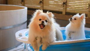 onsenyado yururo nishi izu