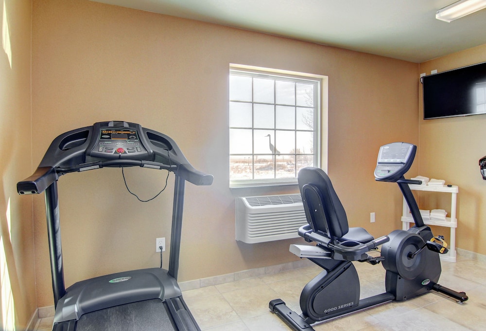 cobblestone inn and suites steele