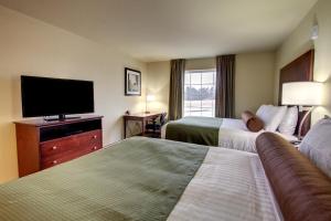 cobblestone inn and suites steele