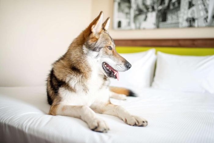 hampton by hilton krakow