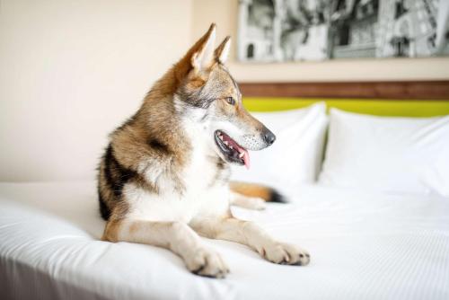 hampton by hilton krakow