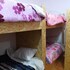 marvelous hotel cusco hostel
