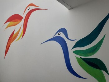 marvelous hotel cusco hostel