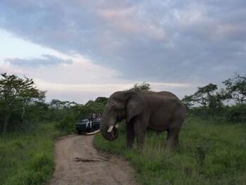 kruger national park