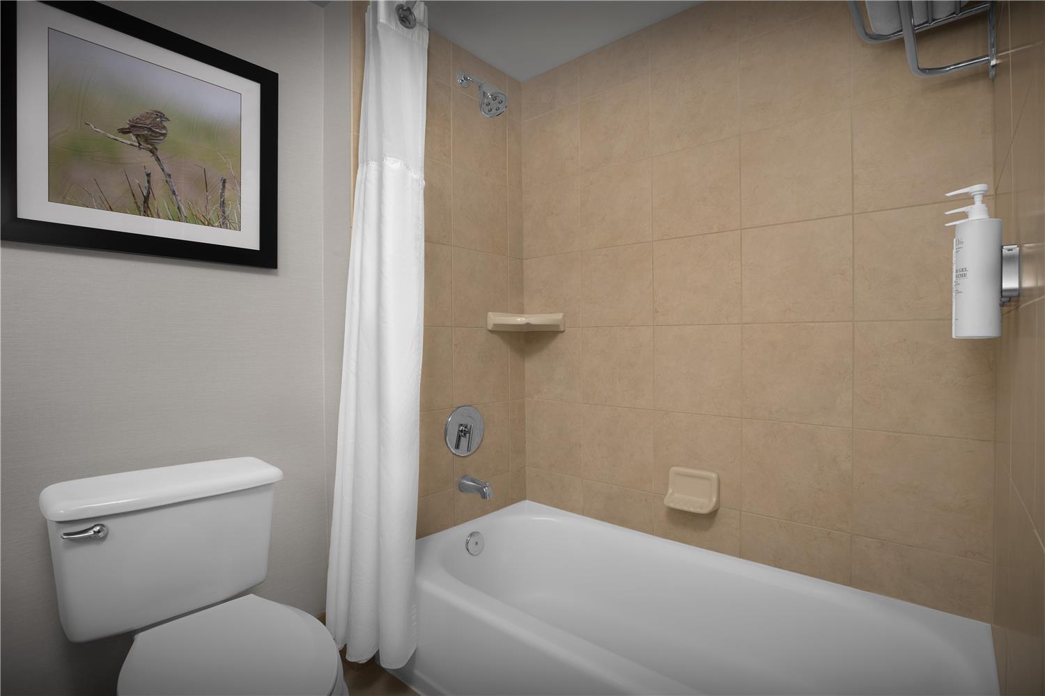 hilton garden inn denver highlands ranch