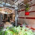little saigon boutique hotel