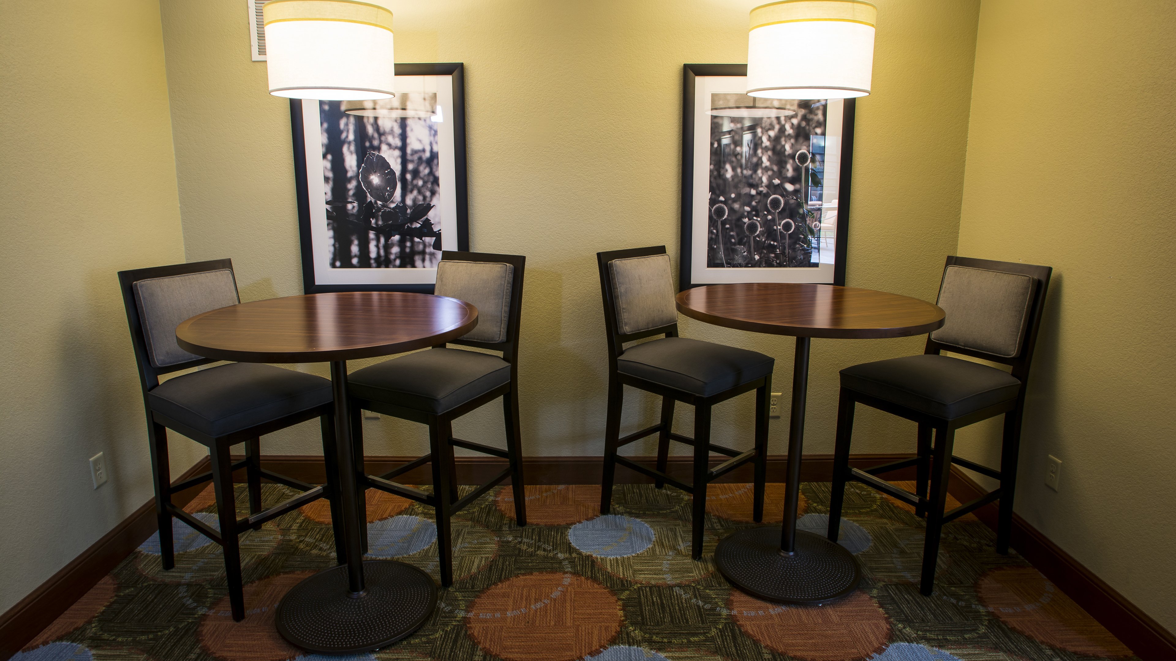 staybridge suites lexington by ihg