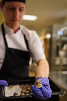 best western radmannen