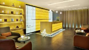 damac maison cour jardin