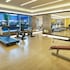 damac maison cour jardin