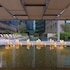 damac maison cour jardin
