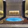 damac maison cour jardin